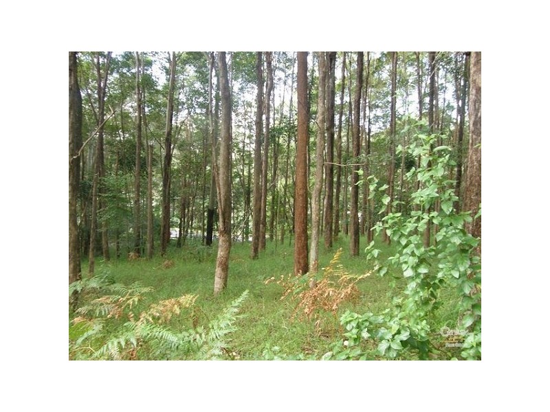 46 Stewart Court, Doonan QLD 4562