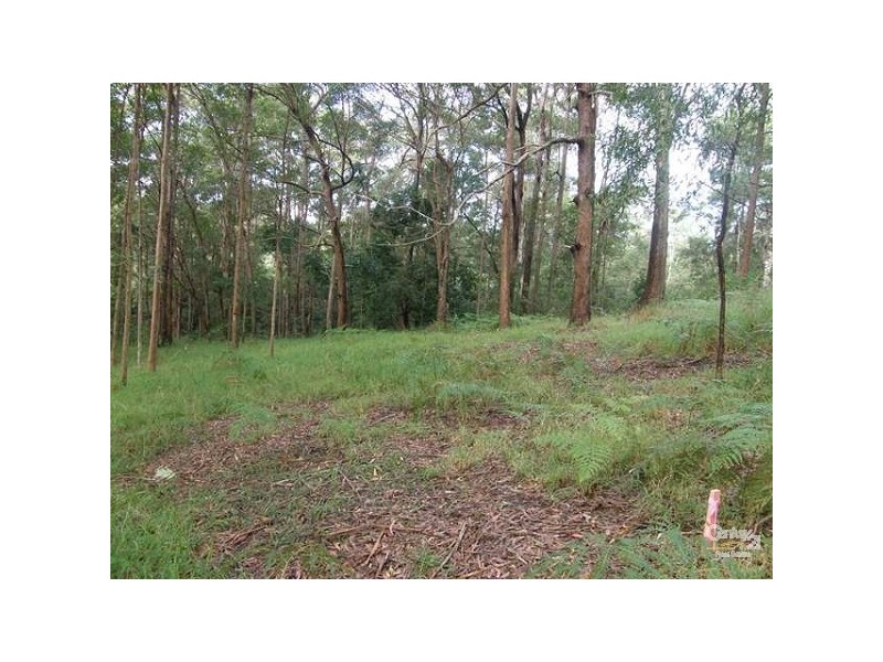 46 Stewart Court, Doonan QLD 4562