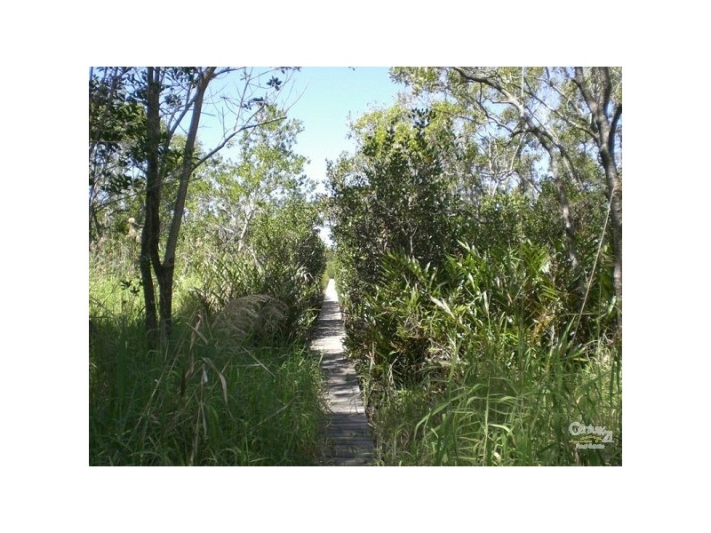 25 Myles Street, Tewantin QLD 4565