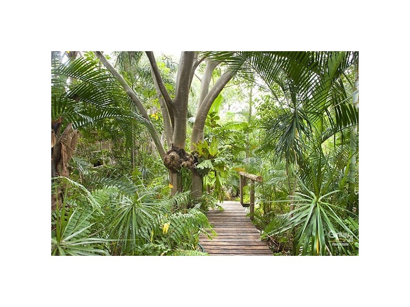 16 Adams Street, Sunshine Beach QLD 4567