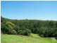 Eumundi QLD 4562