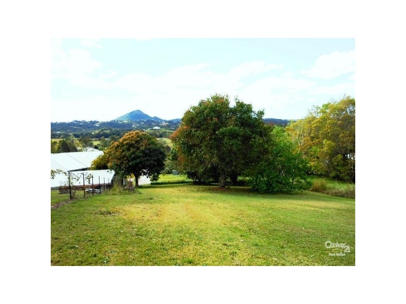 Eumundi QLD 4562
