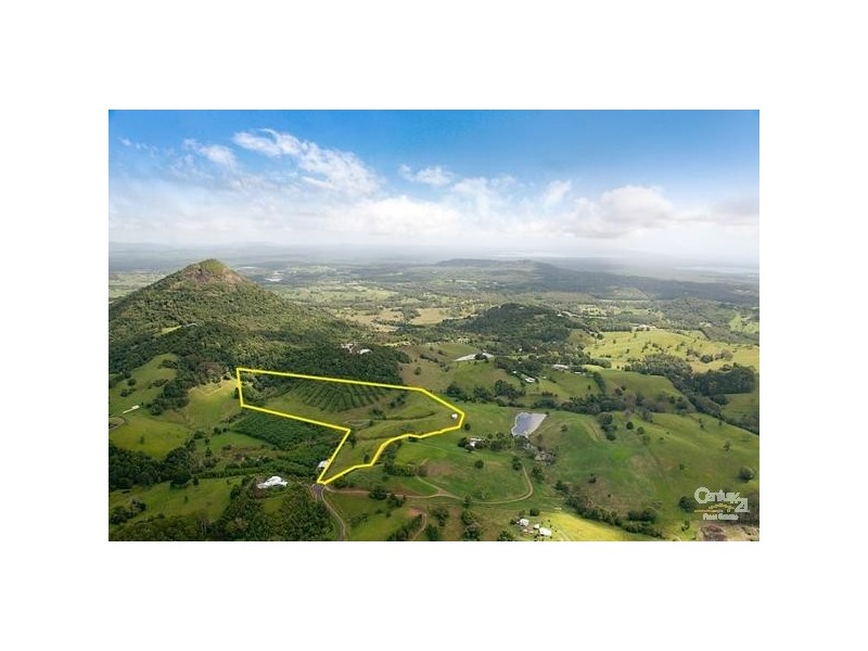 77 Lone Hand lane, Eumundi QLD 4562