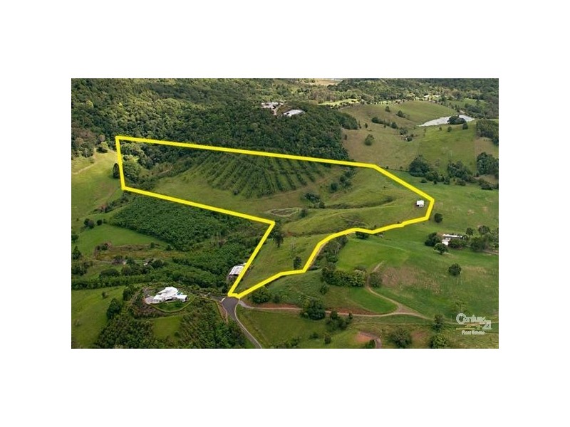 77 Lone Hand lane, Eumundi QLD 4562