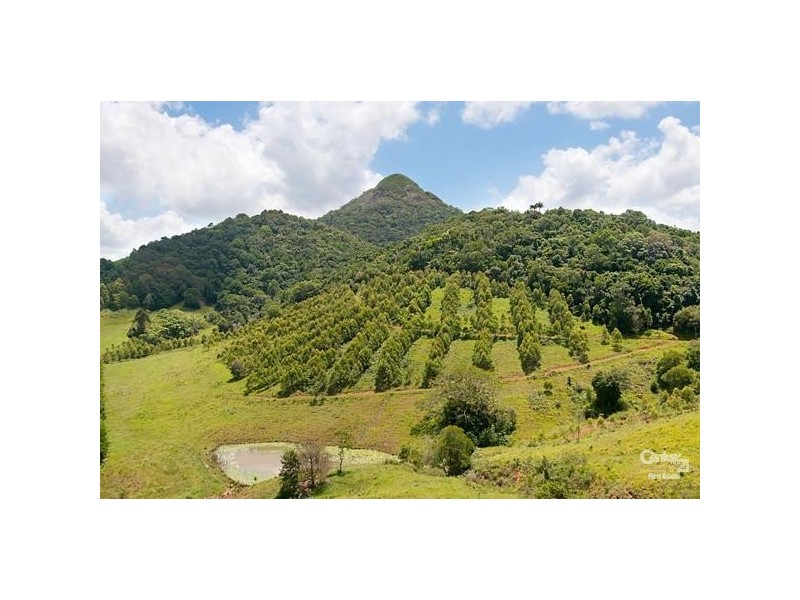 77 Lone Hand lane, Eumundi QLD 4562