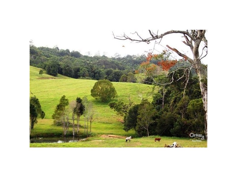 1 Main Camp Road, Eerwah Vale QLD 4562