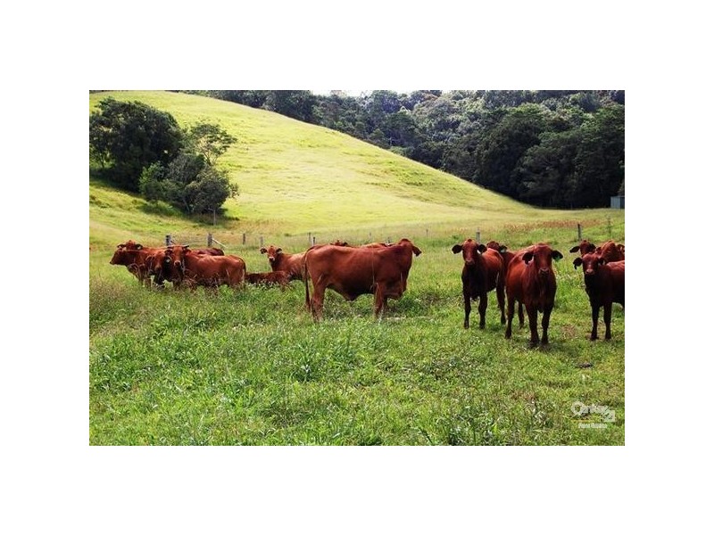 1 Main Camp Road, Eerwah Vale QLD 4562