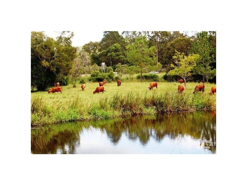 1 Main Camp Road, Eerwah Vale QLD 4562