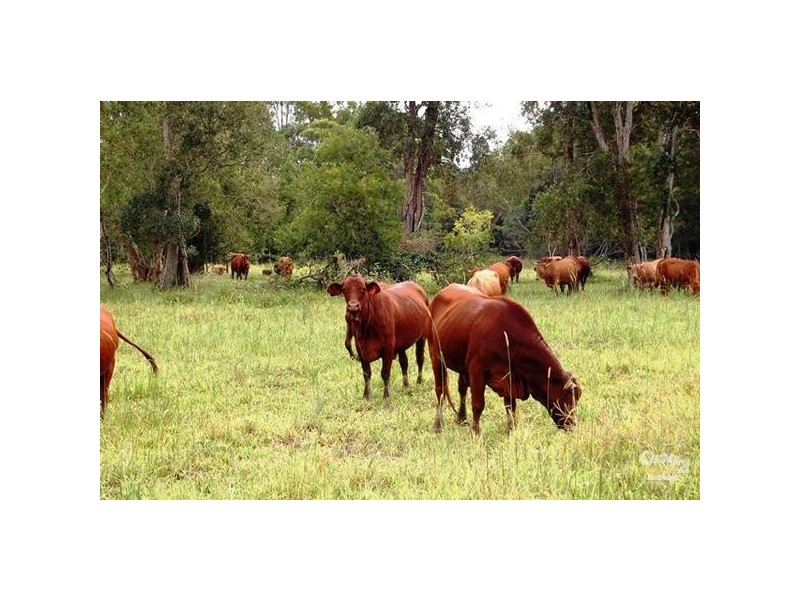 1 Main Camp Road, Eerwah Vale QLD 4562