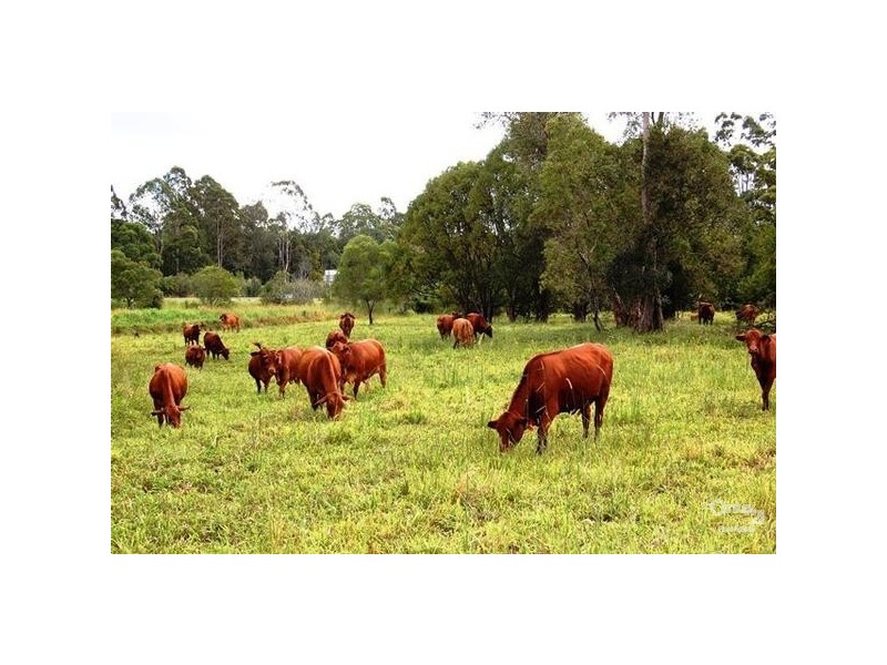 1 Main Camp Road, Eerwah Vale QLD 4562