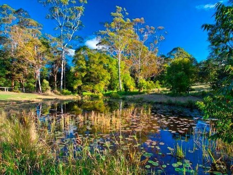 53 Hoy Road, Lake Macdonald QLD 4563