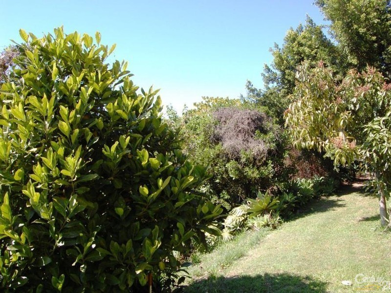 93 Panorama, Doonan QLD 4562