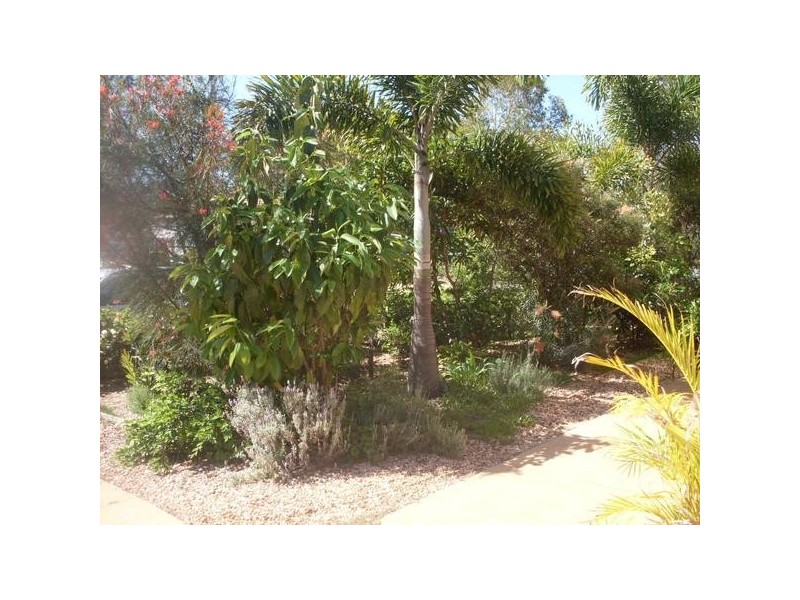 21 Stormbird Drive, Noosa Heads QLD 4567