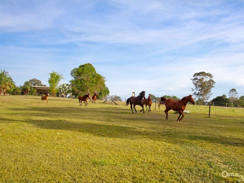 146 Grays Road, Doonan QLD 4562