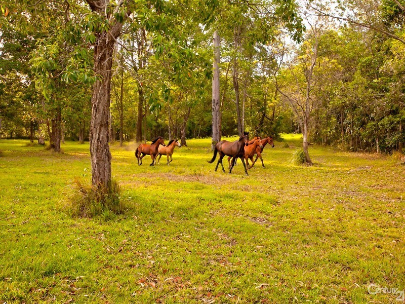 146 Grays Road, Doonan QLD 4562