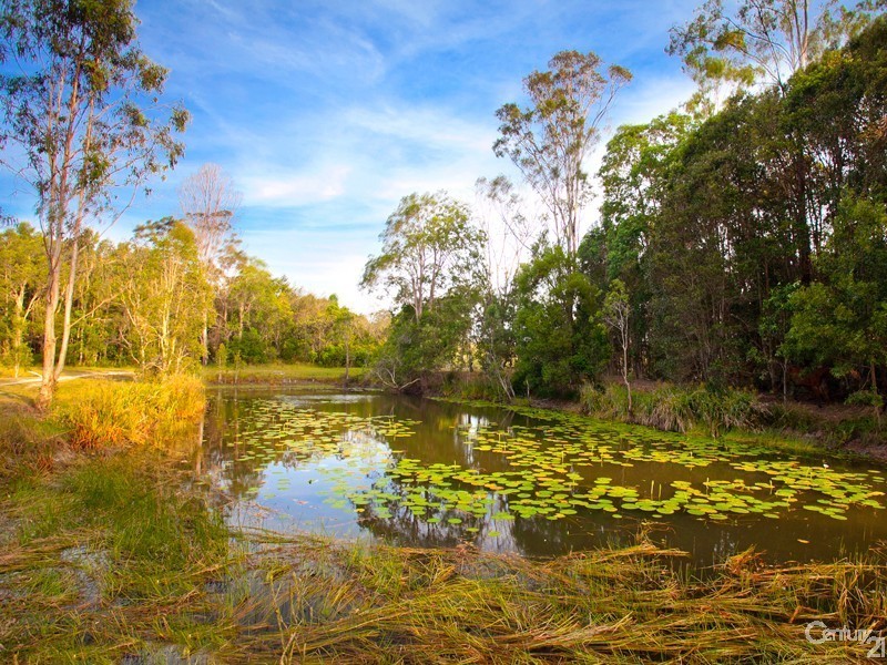 146 Grays Road, Doonan QLD 4562