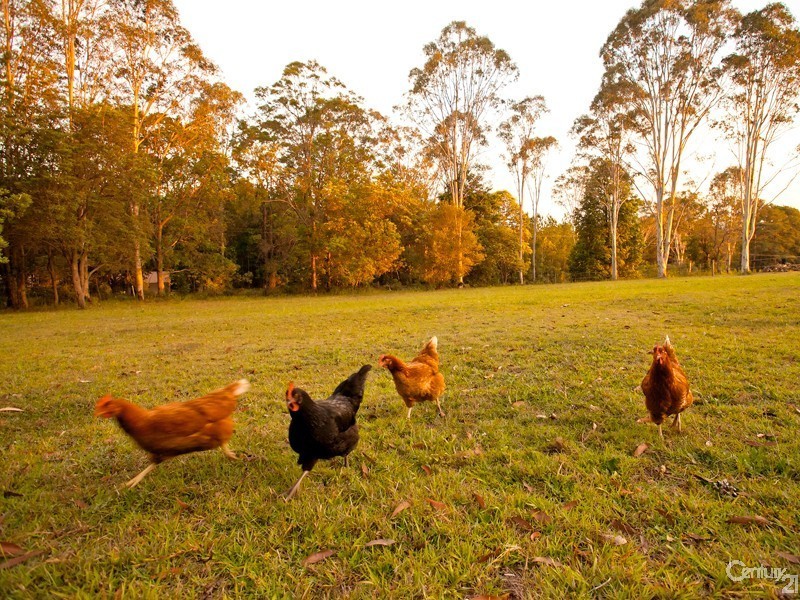 146 Grays Road, Doonan QLD 4562