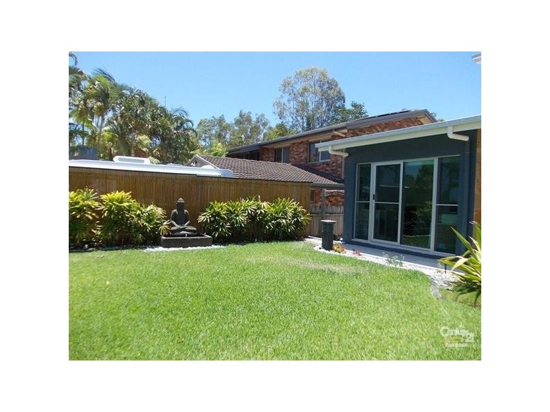 31 Creek Road, Noosaville QLD 4566