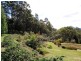 Eumundi QLD 4562