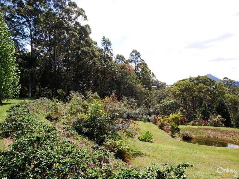 Eumundi QLD 4562
