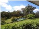 Eumundi QLD 4562