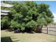 59 Dame Patti Drive, Sunrise Beach QLD 4567