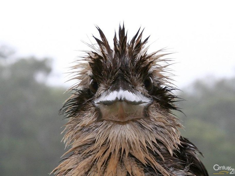 101 Duke Road, Doonan QLD 4562