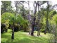 Doonan QLD 4562