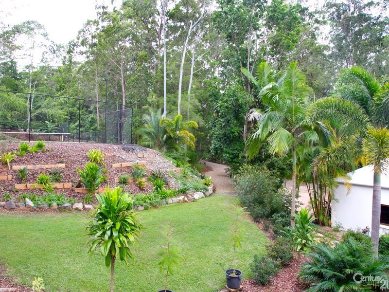 37 Tallgum Avenue, Doonan QLD 4562