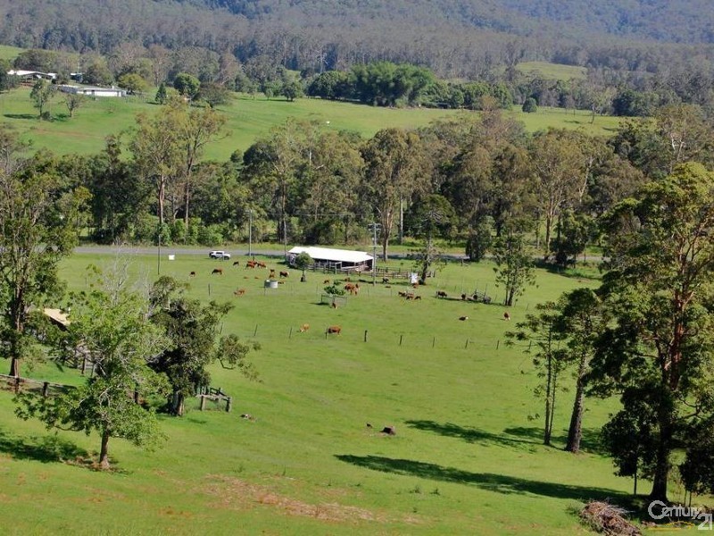 1090 Eumundi Kenilworth Road, Belli Park QLD 4562