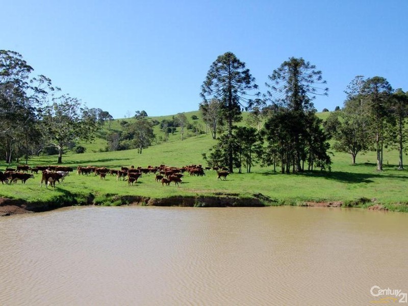 1090 Eumundi Kenilworth Road, Belli Park QLD 4562