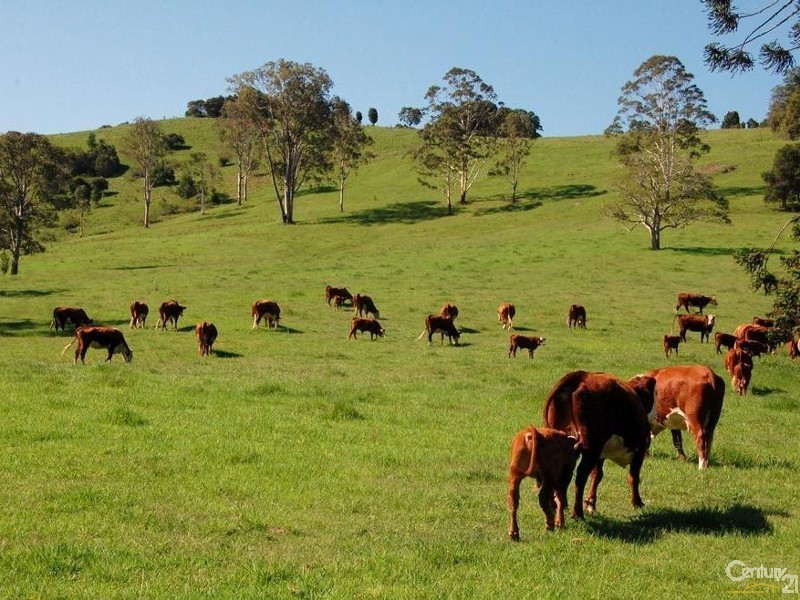 1090 Eumundi Kenilworth Road, Belli Park QLD 4562
