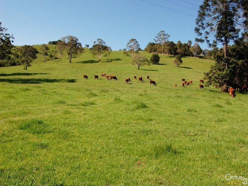 1090 Eumundi Kenilworth Road, Belli Park QLD 4562