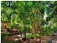 30 Solway Drive, Sunshine Beach QLD 4567