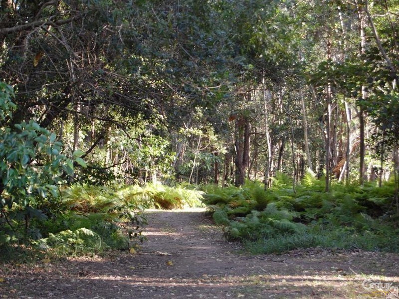 89 Duke Road, Doonan QLD 4562