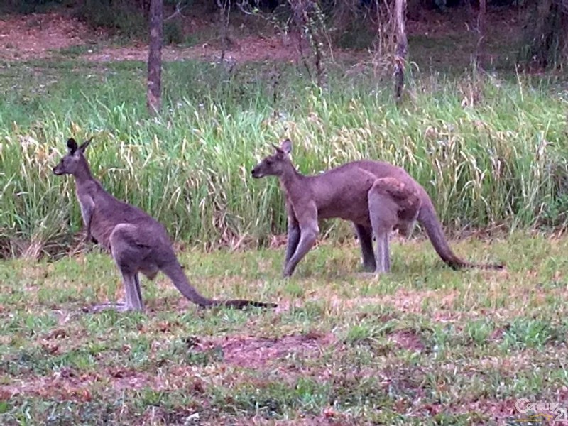 89 Duke Road, Doonan QLD 4562