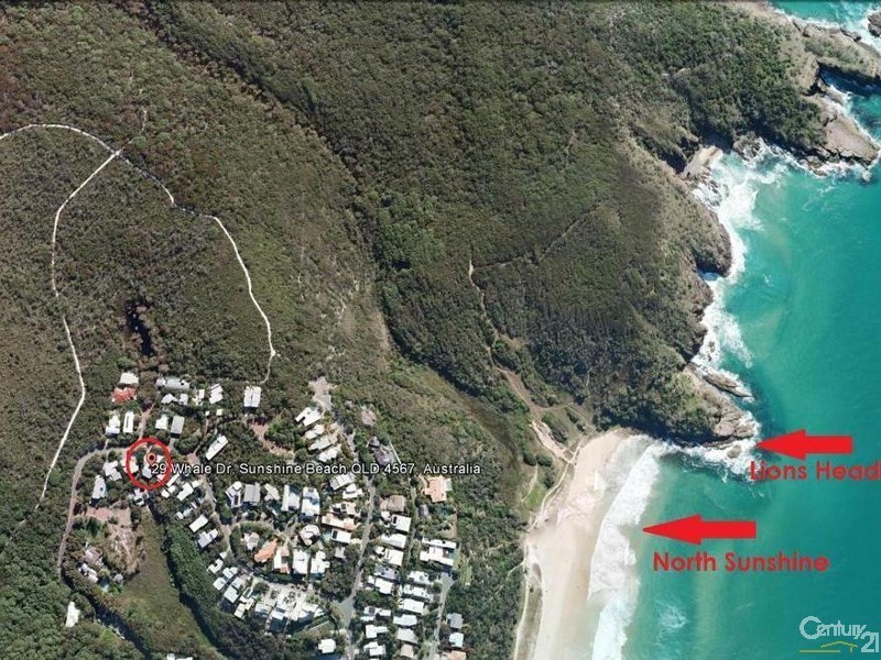 29 Whale Drive, Sunshine Beach QLD 4567
