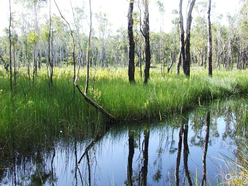 312 Teewah Beach Road, Noosa North Shore QLD 4565