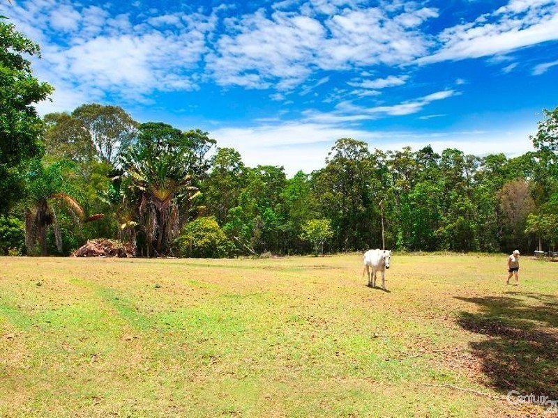 53 Coveys Road, Tinbeerwah QLD 4563