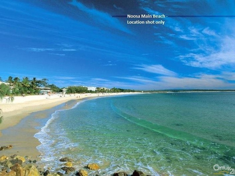 1/31 Picture Point Crescent, Noosa Heads QLD 4567