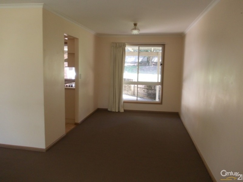3 Olive Court, Tewantin QLD 4565