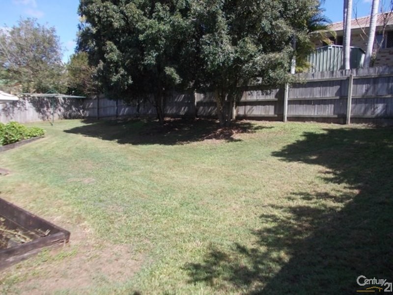 3 Olive Court, Tewantin QLD 4565