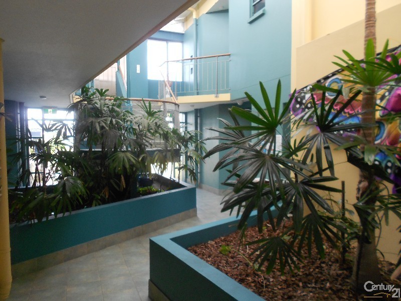 4/17 Albert Street, Noosaville QLD 4566