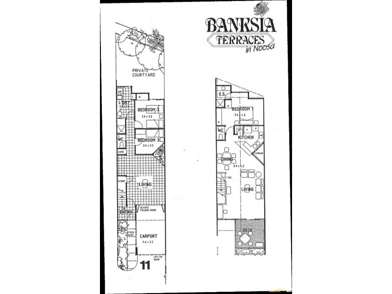 11/2 Banksia Avenue, Noosa Heads QLD 4567 Floorplan