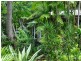 181 Valley Drive, Doonan QLD 4562