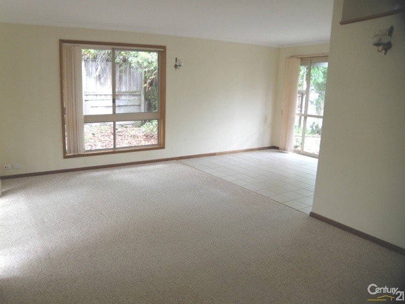 17 Elanora Terrace, Noosa Heads QLD 4567