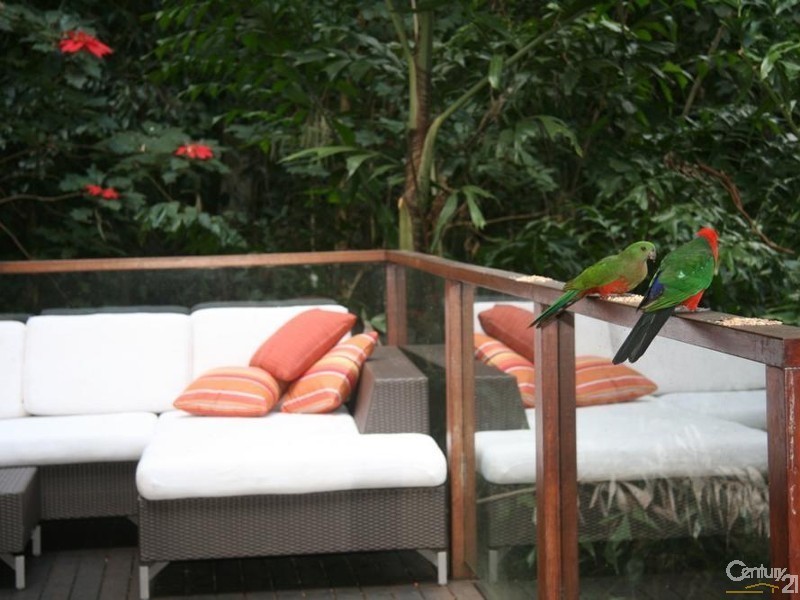 55 Valley Dr, Doonan QLD 4562