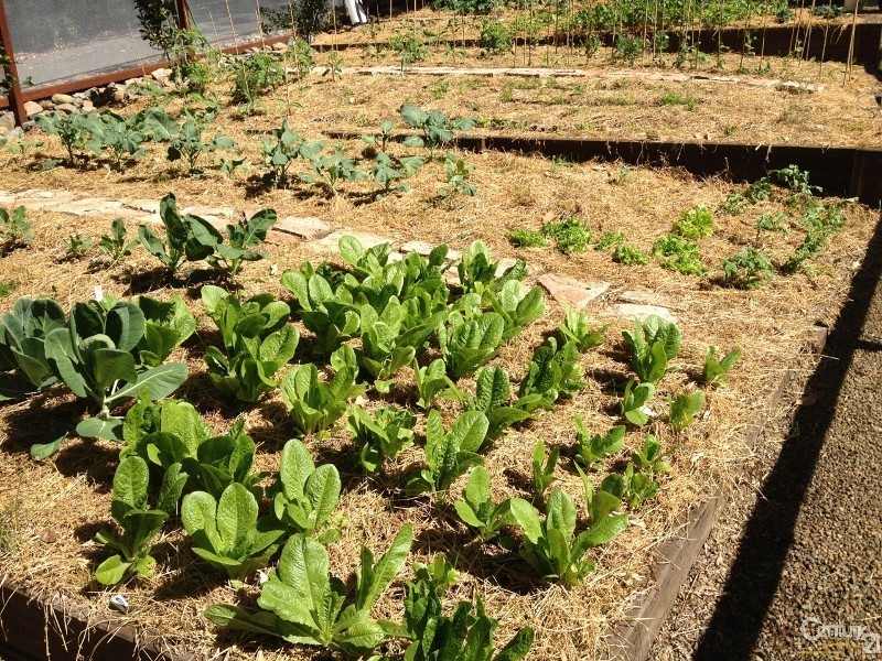 55 Valley Dr, Doonan QLD 4562