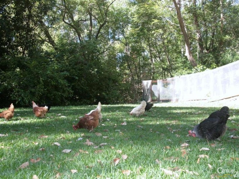 55 Valley Dr, Doonan QLD 4562