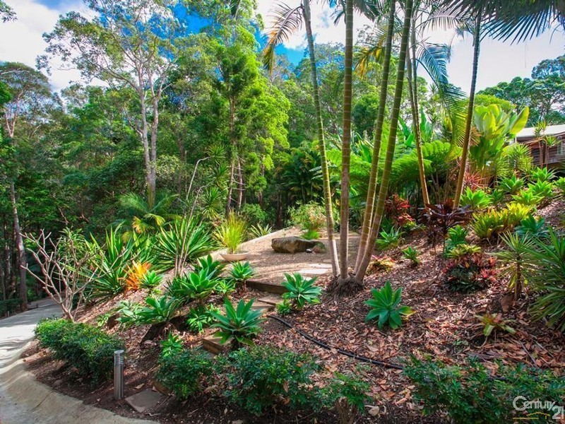 23 Whyandra Close, Doonan QLD 4562